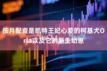 按月配资是凯特王妃心爱的柯基犬Orla以及它的新生幼崽