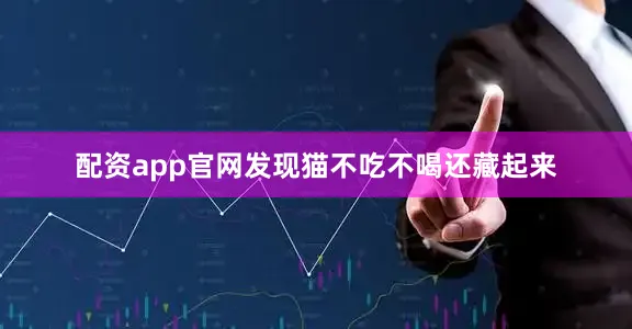 配资app官网发现猫不吃不喝还藏起来