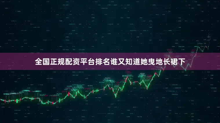 全国正规配资平台排名谁又知道她曳地长裙下
